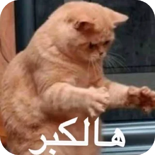 Telegram sticker 👍 جنّه | @JFJJ8