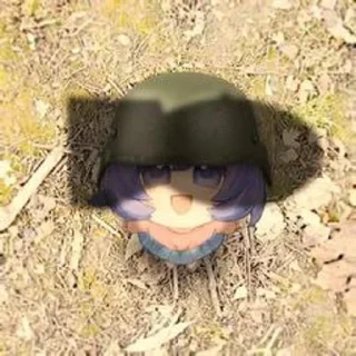 Video sticker ⭐️ Бомби Ирак блять🇺🇸