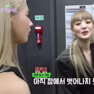 Video sticker 🐈‍⬛️ @archmiy GMA & TMA