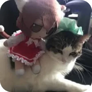 Video sticker 🐱 ✨Fumo (@AI_692)