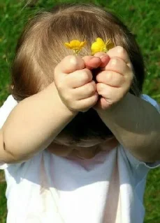 Video sticker 🌼 شُـعــور ᰔᩚ