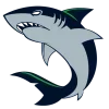 Video sticker 🦈 Unick PayShark @Tg...