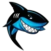 Video sticker 🦈 Unick PayShark @Tg...