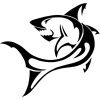 Video sticker 🦈 Unick PayShark @Tg...