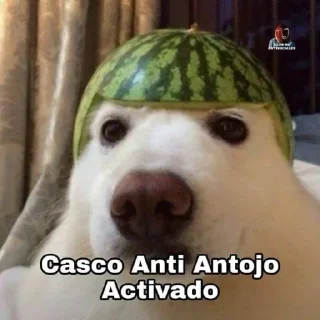 Telegram stiker 🤔 Limonada de Fresa Steal Pack 6