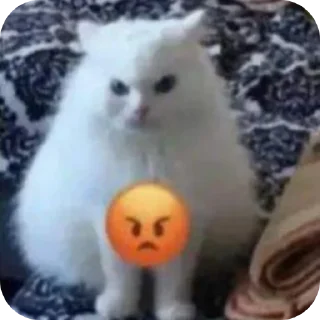 Telegram sticker 😡 @ifeedonflesh