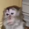 Video sticker 😢 Мали