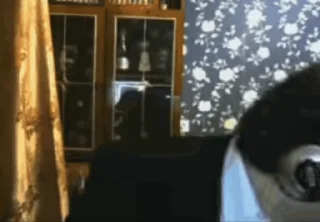 Video sticker 💵 Zhmil-17video