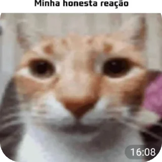 Telegram sticker 👍 Gatinhos BY @Frogzinnn RVN