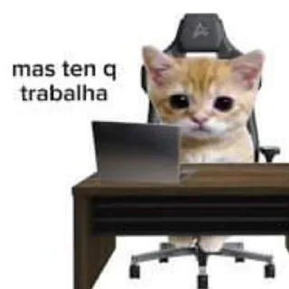 Telegram sticker 🐱 Gatinhos BY @Frogzinnn RVN