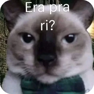 Telegram sticker 🐱 Gatinhos BY @Frogzinnn RVN