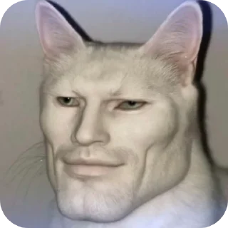 Video sticker 👍 @objecction ’s shithole.