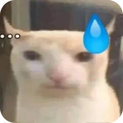Telegram sticker 👍 FUNNY | MEMES PACK