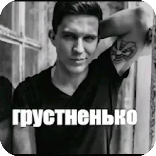 Video sticker 👍 Мемы @sticersgerip