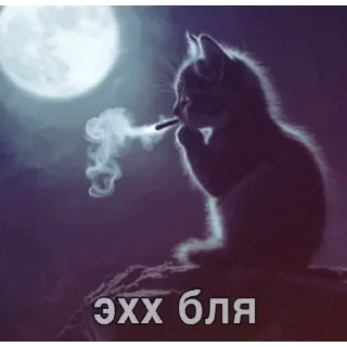 Video sticker 🥹 Мемы @sticersgerip