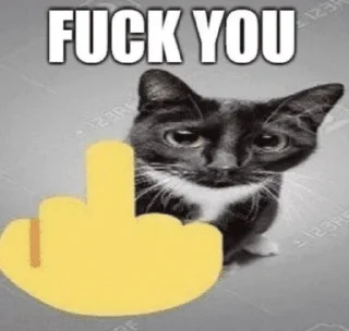 Telegram sticker 😐 Cat Memes