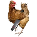 Video sticker 🐓 Куры