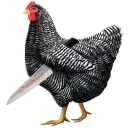 Telegram sticker 🐓 Куры