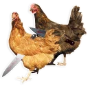 Telegram sticker 🐓 Куры