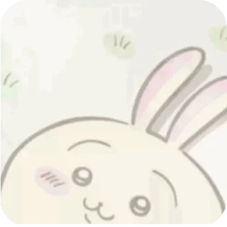 Video sticker 🤲 代开会员 @kk902605