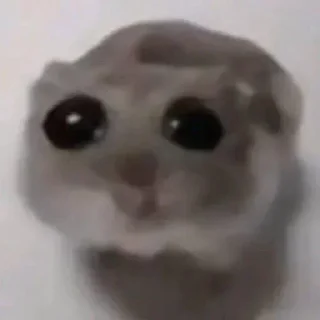 Telegram stiker 🐰 @Revyni