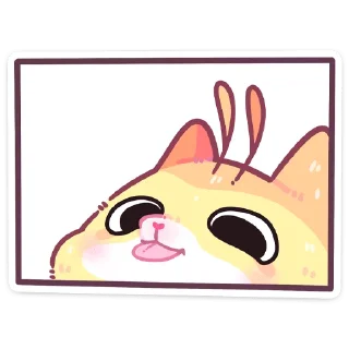 Video sticker 😛 Мёдик без надписей @TgSticker