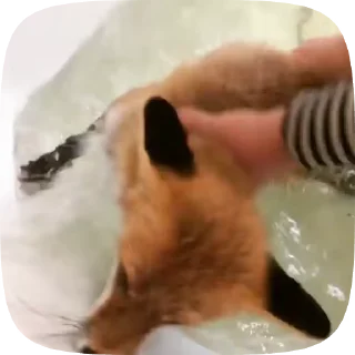 Телеграм стикер 💦 Dammys gifs :: @fStikBot