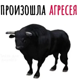 Video sticker 😡 @stikery1 | Мемы