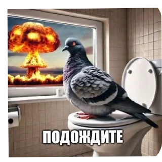 Telegram sticker 🐦 Правая рука в мемах