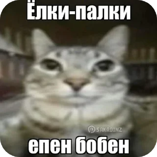Telegram sticker 🐱 Правая рука в мемах