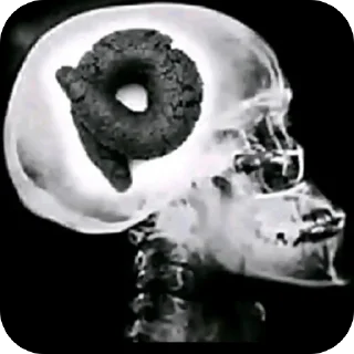 Video sticker 🫥 Больше стиков тут: @stikery4