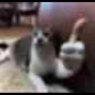 Telegram stiker 🤔 Ultimate Alliance 🏆