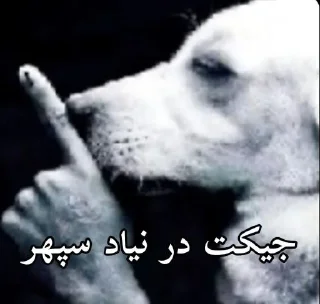 Telegram sticker 🤫 𝗠𝗲𝗺𝗲 ★ @StickerKish