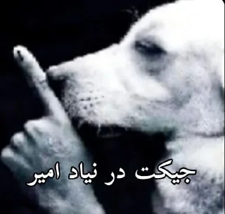 Video sticker 🤫 𝗠𝗲𝗺𝗲 ★ @StickerKish