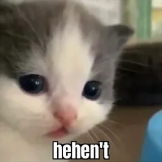 Video sticker 😠 Hehe