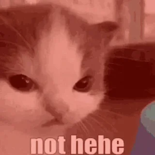 Video sticker 🙁 Hehe