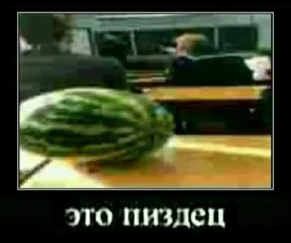 Video sticker 🤨 Бля, буду крабсбургером @T0talitarity