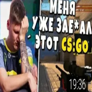 Video sticker 😾 Похуй проебали :: by (@Skvntty :: @fStikBot