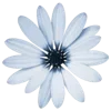 Sticker 💐 @adherrnce