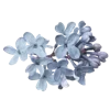 Sticker 💐 @adherrnce