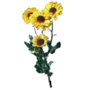 Video sticker 💐 @adherrnce