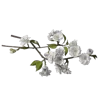 Video sticker 💐 @adherrnce