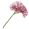 Sticker 💐 @adherrnce