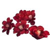 Sticker 💐 @adherrnce