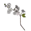 Sticker 💐 @adherrnce