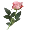 Sticker 💐 @adherrnce