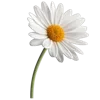 Sticker 💐 @adherrnce