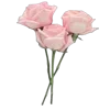 Video sticker 💐 @adherrnce