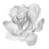 Sticker 💐 @adherrnce