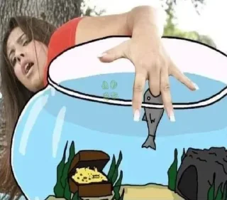 Sticker 🐟 @JoinEngChat || Adult Memes